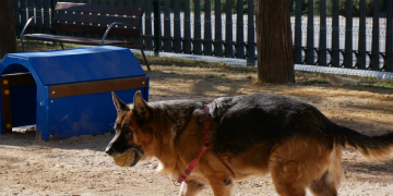 Crevillent ya tiene un segundo parque canino, en la Ronda Sur