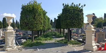 El Cementerio de Alicante acogerá tumbas musulmanas y judías