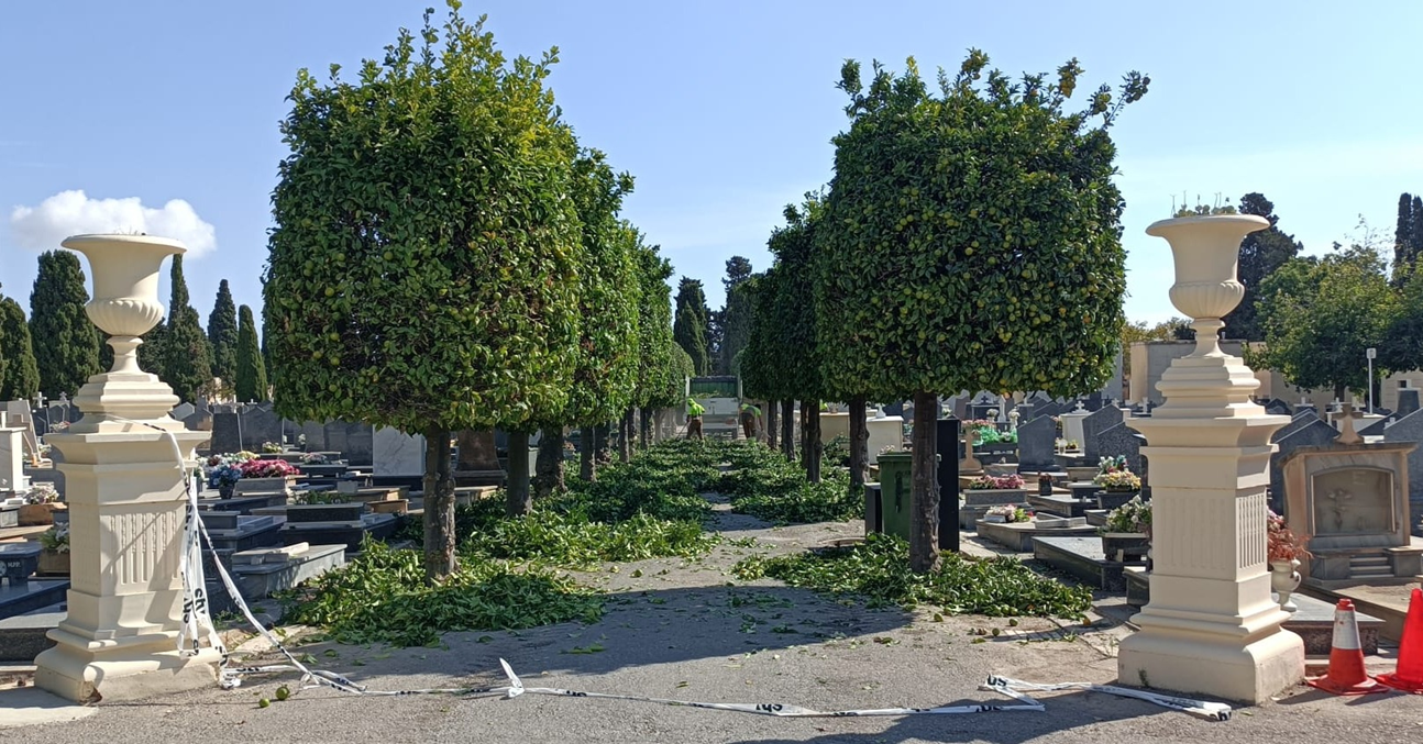 El Cementerio de Alicante acogerá tumbas musulmanas y judías
