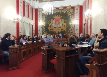 Alicante constituye el Consejo Municipal de Personas con Diversidad Funcional