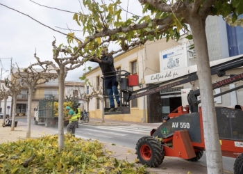 Continúan los trabajos de limpieza y poda en todo el término municipal de l’Alfàs