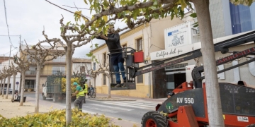 Continúan los trabajos de limpieza y poda en todo el término municipal de l’Alfàs