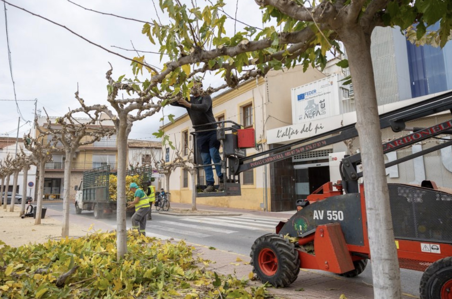 Continúan los trabajos de limpieza y poda en todo el término municipal de l’Alfàs