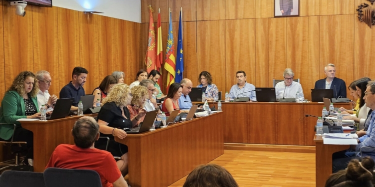 El Pleno debatirá el inicio del trámite ambiental para la ordenación de la Zona 12