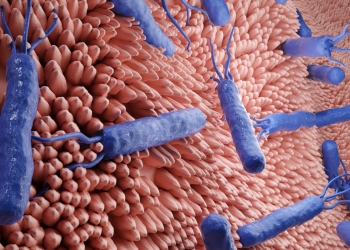 Un método predice la resistencia a antibióticos de una bacteria estomacal que porta la mitad de la población mundial