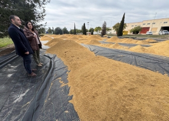 El Ayuntamiento invierte casi 300.000 euros en mejoras en el polígono industrial gracias a una subvención del IVACE