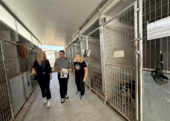 Mejora en el refugio de animales con nuevas obras de seguridad