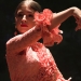 «El flamenco forma parte de mi vida»