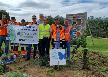 El voluntariado corporativo de Veolia en la Comunidad Valenciana implica a más de un centenar de participantes en sus acciones de 2025