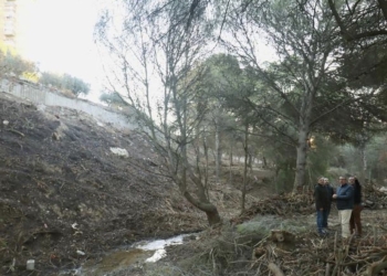 Benidorm completa las tareas de desbroce que permitirán crear e integrar 3,5 kilómetros de senderos de Xixo en el parque de El Moralet