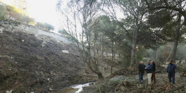 Benidorm completa las tareas de desbroce que permitirán crear e integrar 3,5 kilómetros de senderos de Xixo en el parque de El Moralet