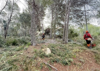 Xàbia sigue ampliando los trabajos de prevención de incendios actuando en el Camí Vell de Teulada