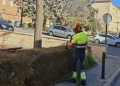 Alcoy realiza trabajos de poda en el barrio de Batoi