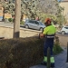 Alcoy realiza trabajos de poda en el barrio de Batoi