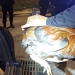 La Policía Local interviene cinco gallos por sospecha de maltrato animal y uso para peleas