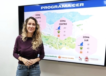 Elda recibe la mayor subvención concedida en España para la gestión de las colonias felinas urbanas
