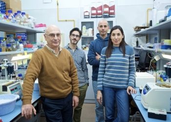 La Universidad de Alicante presenta AlCas12a, una nueva enzima con revolucionarias aplicaciones en edición genética