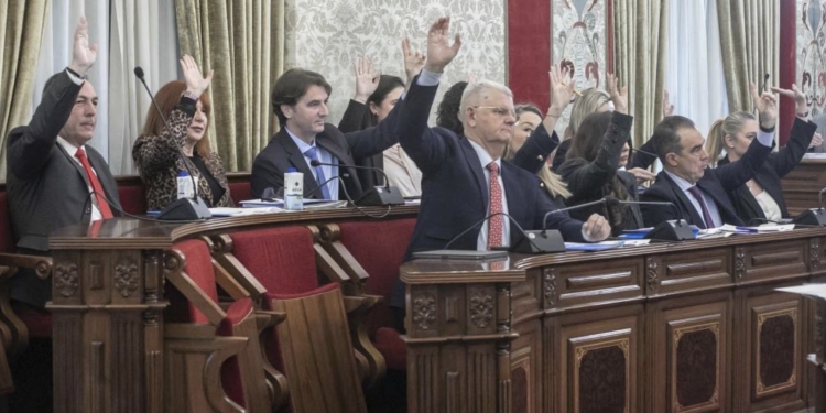 Luz verde en el Pleno a la modificación de la Ordenanza de Vía Pública de Alicante