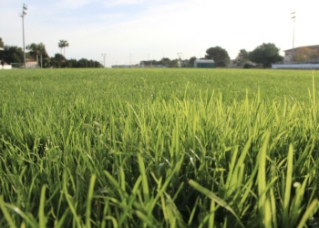 Los equipos locales vuelven a jugar en el estadio del polideportivo tras el replantado del campo de fútbol