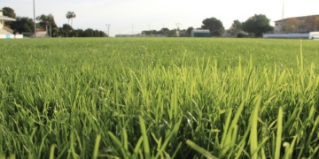 Los equipos locales vuelven a jugar en el estadio del polideportivo tras el replantado del campo de fútbol