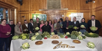 Elche bate el récord de producción de hortalizas de invierno con 24 millones de kilos