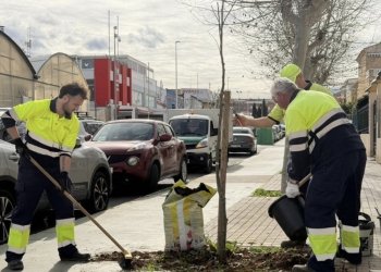 Parque y Jardines realiza la plantación de cerca de medio centenar de árboles en las avenidas Delfina Viudes y Diego Ramirez