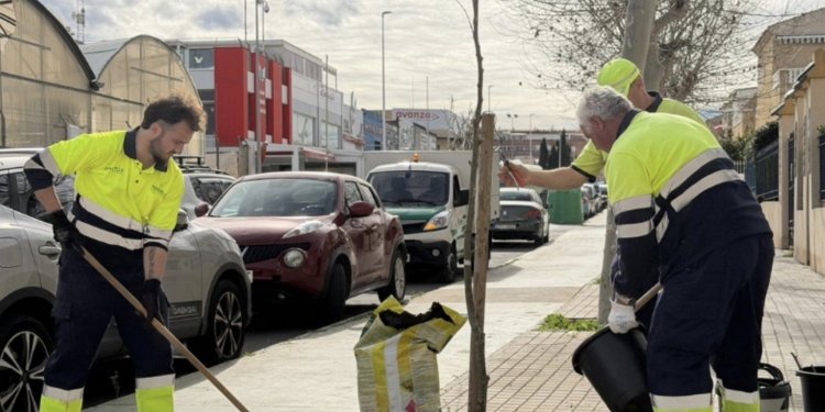 Parque y Jardines realiza la plantación de cerca de medio centenar de árboles en las avenidas Delfina Viudes y Diego Ramirez