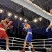 España cierra el Boxam Elite La Nucía con diez medallas