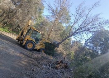 La Policía Local de l’Alfàs atiende 112 llamadas y 19 avisos del 112CV por el temporal de viento