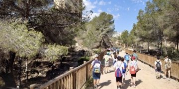 El parque urbano El Moralet de Benidorm revalida el galardón ‘Sendero Azul’ en 2026