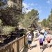 El parque urbano El Moralet de Benidorm revalida el galardón ‘Sendero Azul’ en 2026