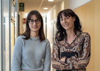 Un estudio del Instituto de Neurociencias identifica un mecanismo que regula cómo se libera la oxitocina en el cerebro del ratón