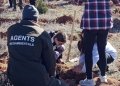 120 alumnos de Utiel y pedanías celebran el día del árbol con una jornada de reforestación en plena Sierra del Negrete
