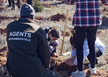 120 alumnos de Utiel y pedanías celebran el día del árbol con una jornada de reforestación en plena Sierra del Negrete
