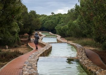 Parques y jardines desarrolla una actuación integral en el parque Molino del Agua