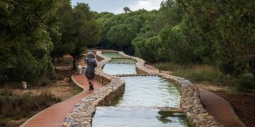 Parques y jardines desarrolla una actuación integral en el parque Molino del Agua
