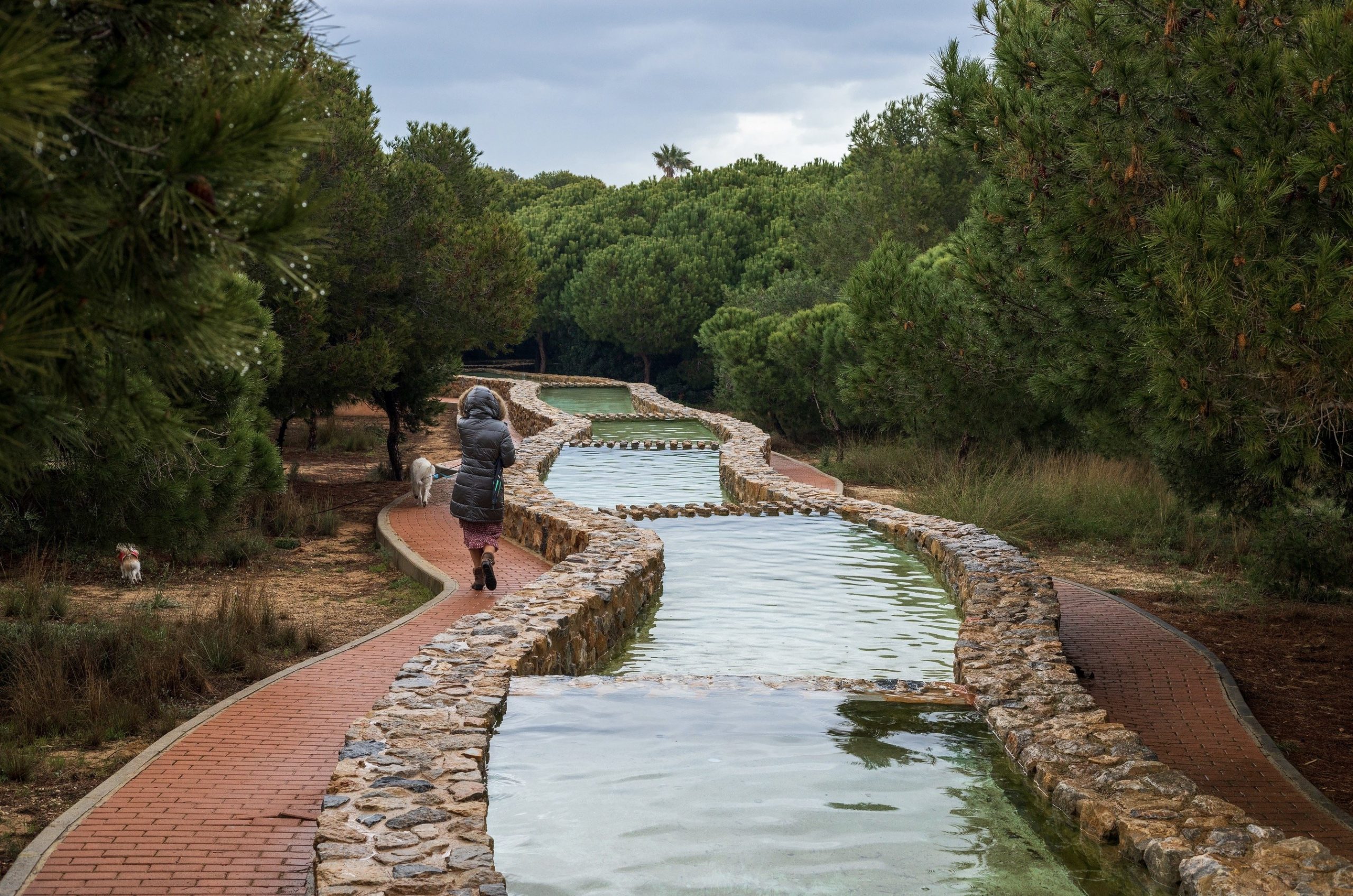 Parques y jardines desarrolla una actuación integral en el parque Molino del Agua