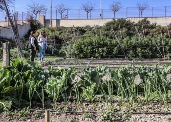 Medio Ambiente abre el plazo para solicitar parcelas en los Huertos Municipales Ecológicos