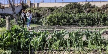 Medio Ambiente abre el plazo para solicitar parcelas en los Huertos Municipales Ecológicos