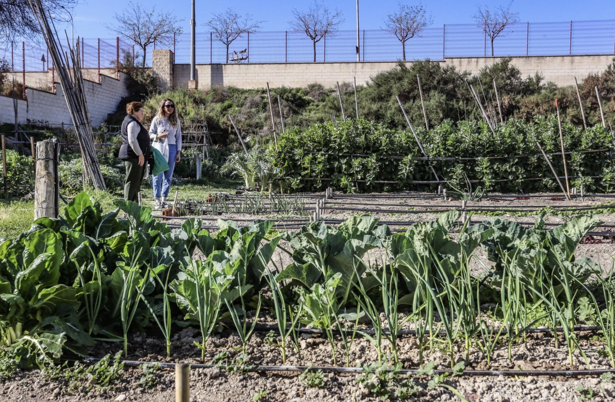 Medio Ambiente abre el plazo para solicitar parcelas en los Huertos Municipales Ecológicos