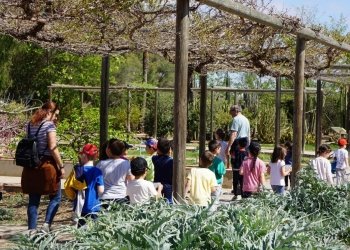 Educando desde y sobre la naturaleza