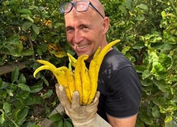 «Hay que romper falsos mitos que nos han implantado en la alimentación»