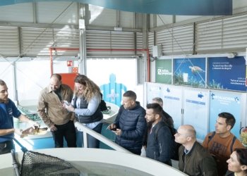 Torrevieja refuerza la formación de su Policía Local en protección de fauna marina